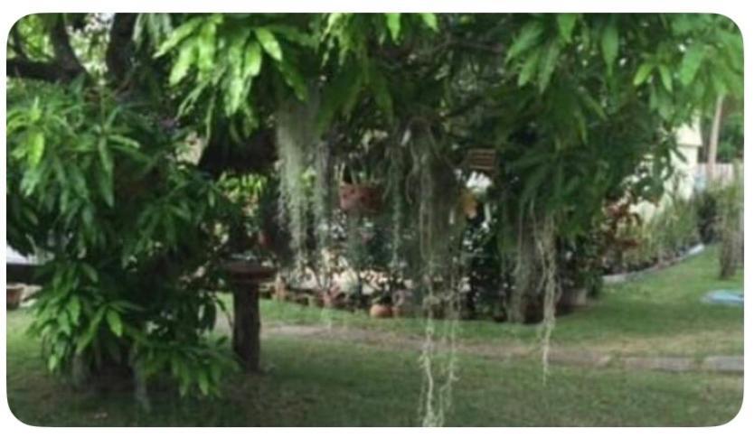 Beryls At Seawind On The Bay , Montego Bay , Jamaica Apartment ภายนอก รูปภาพ